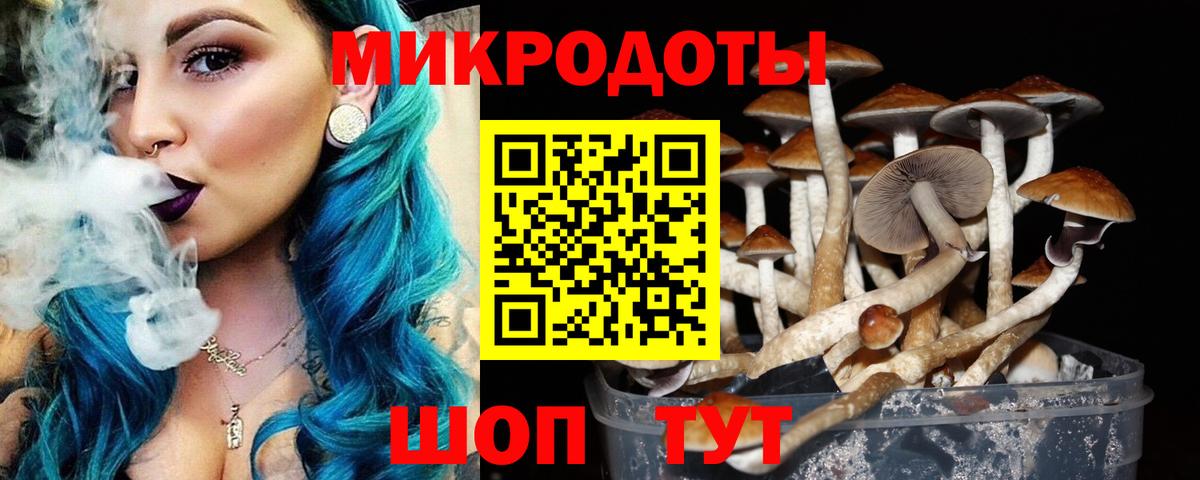 Батайск  Галлюциногенные грибы Psilocybe  Галлюциногенные грибы ЛСД  Вход с VPN 